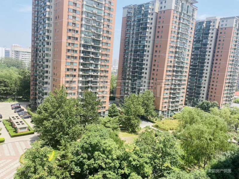 美林花园 南向大三居 视野开阔      超高性价比