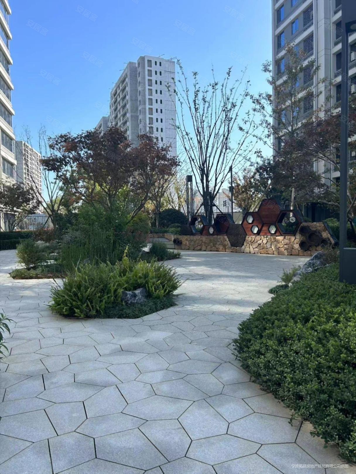 全新豪华装修好楼层绿城春来晓园17层直接入