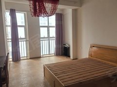 蚌埠龙子湖大学城大学城高铁附近，学府公寓，低价一室户简装，随时看房，出租房源真实图片