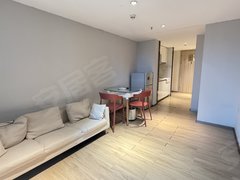 东莞茶山茶山城区时代天荟(商住楼) 2室1厅1卫  电梯房 精装修29平米出租房源真实图片