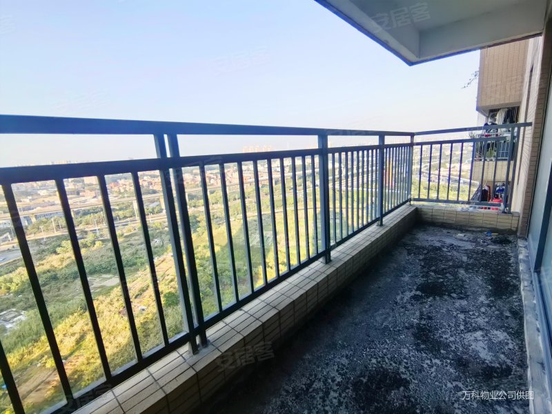 道滘城区 双卫格局 产权清晰 小三房 南北通透,沿海丽水佳园二手房