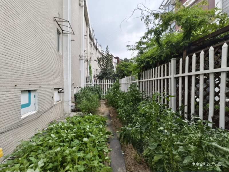 秦淮绿洲(南区) 南北通透 临地铁 超低密度 满五 近医院