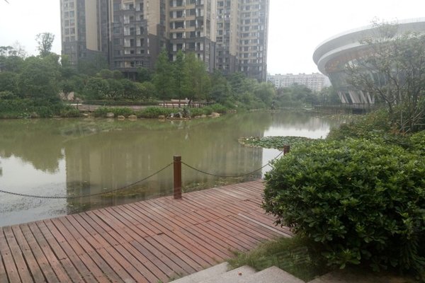 清江山水有哪些不足,缺点有哪些?_王贤平解读:小区大,在2.2期和3.