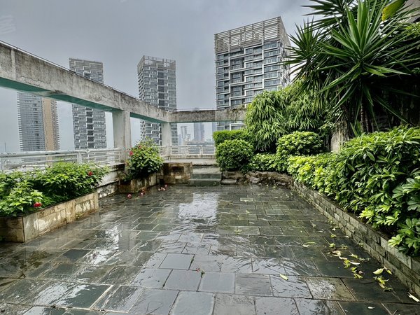 租房,近百平顶楼私家花园 客厅无遮挡海景 密码看房 南海玫瑰园一期