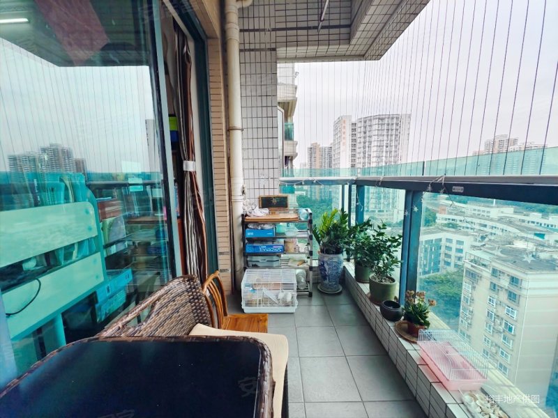 (房源我维护,找天府店陈s)东逸花园二期 高层大两房 望公园