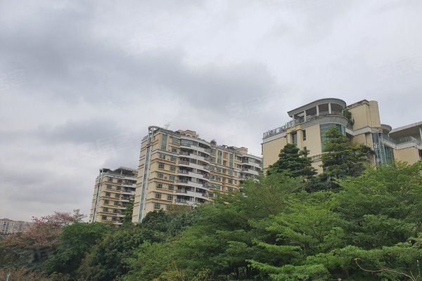 汇景新城棕榈园,汇景南路-广州汇景新城棕榈园二手房,租房-广州安居客