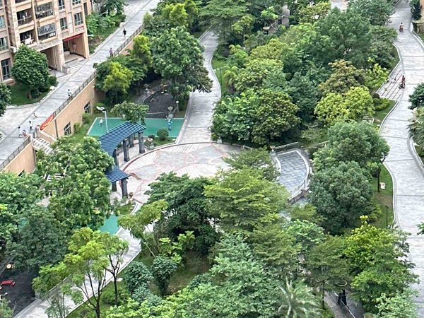 广州增城新塘中森茗苑三房出租,房子很干净配齐的,可小刀,中森名苑