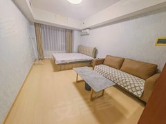 鞍山铁东站前独立网线单室拎包住站前万象汇华润置地广场精装修出租房源真实图片