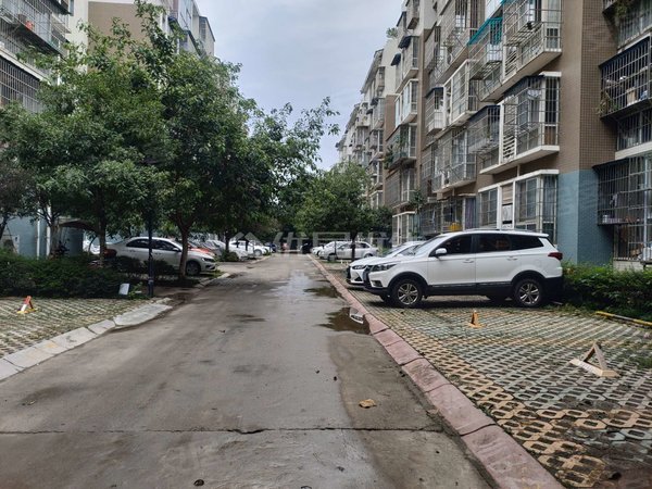 绵阳高新区永兴镇新城1号永兴新皂街上 新城1号 整租 2室 普装 64平