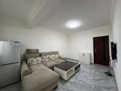 鞍山铁西二台子双室精装修 出租 东北摩尔六楼出租房源真实图片