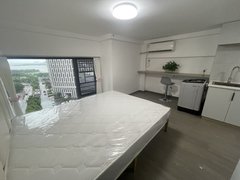 武汉江夏文化大道龙湖紫都城 精装修 1室1厅1卫 电梯房出租房源真实图片