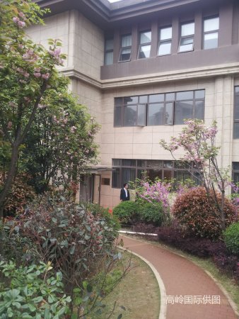 长郡雅礼梅溪湖中学 旭辉御府精装全套公寓 二号线地铁口步步高