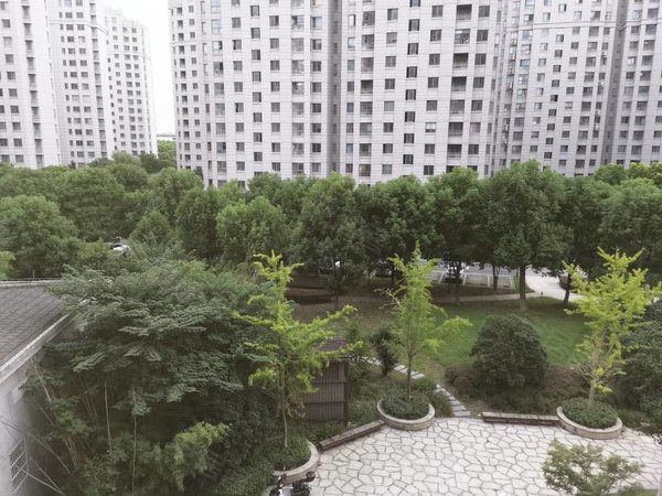 【多图】华亭茗苑,九亭租房,科创云廊,精装一室一厅,高楼层采光好