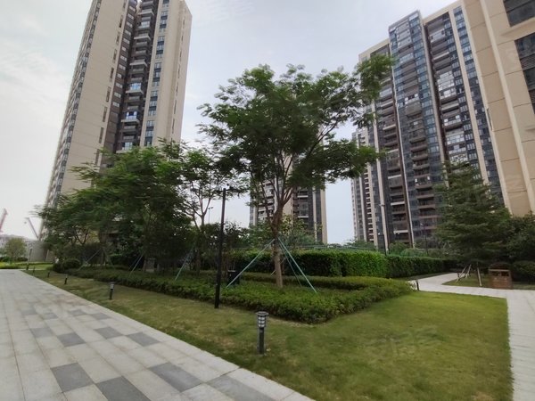 珠海斗门白蕉招商依云华府全新出租豪装3房2卫 家私家电齐全 有钥匙