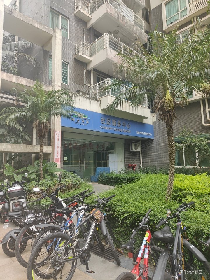 深圳房产网>深圳二手房>南山二手房>后海二手房>蔚蓝海岸(二期)>720