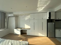 无锡江阴璜土江阴五洲国际广场(商住楼) 1室1厅1卫出租房源真实图片