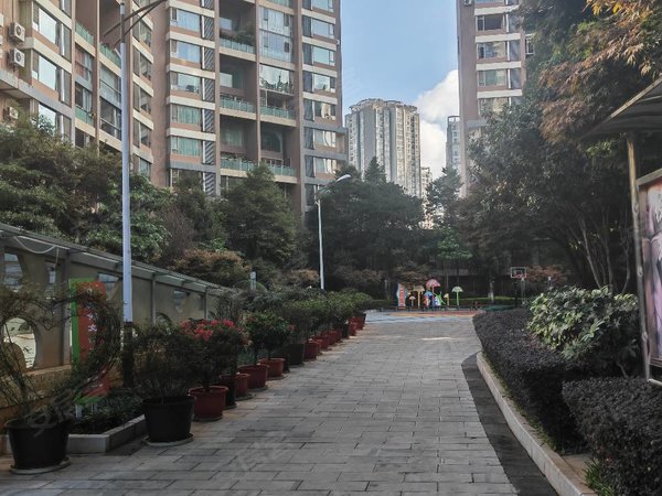 昆明盘龙江东花园金江小区瑞园北京路金江小区瑞园 精装大跃层1楼 带