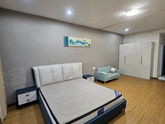 东台城东新区东台软件园靠东中 中医院 购物公园精装电梯公寓 免费停车包物业费出租房源真实图片