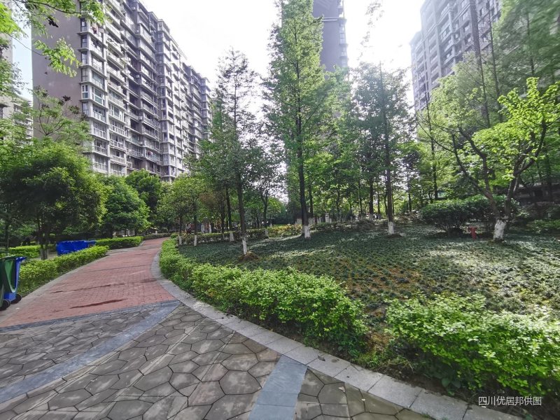 美宇凤凰城川北医学院旁电梯中间层套三双卫无高税