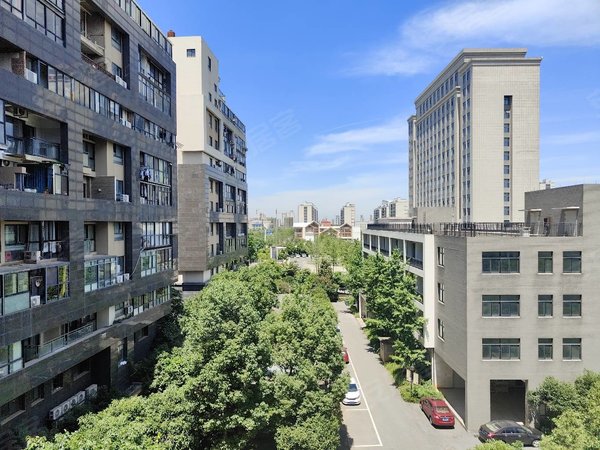 金华婺城婺城新区秀水园秀水园精装公寓家具家电齐全，拎包入住，生活便利出租房源真实图片