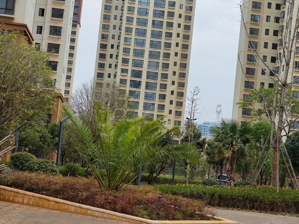 昆明呈贡刘家营锦绣家园高铁站旁 锦绣家园 出租 中间楼层 采光好出租