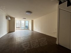 张家港塘市塘市中心东方新天地(西区) 1室1厅1卫  电梯房 49平米出租房源真实图片