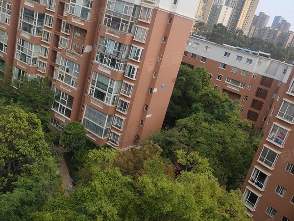 【多图】金水湾小区,北市区租房,盘龙江边 3室2厅2卫 南北通透 168平