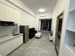 佛山南海金融高新区（格局好）正一房一厅 可押一 全新家私家电 近地铁 京华广场出租房源真实图片