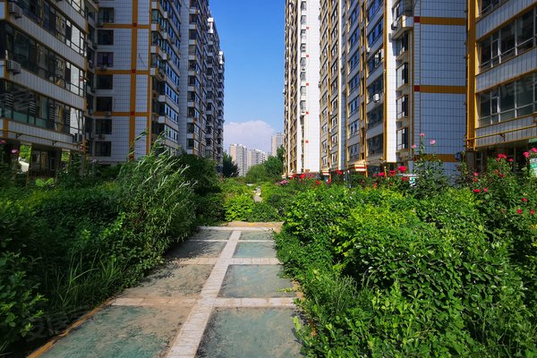 东阳花园,东阳花园-临汾东阳花园二手房,租房-临汾安居客