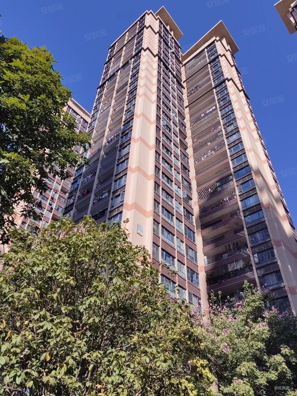 中洲天御花园二期