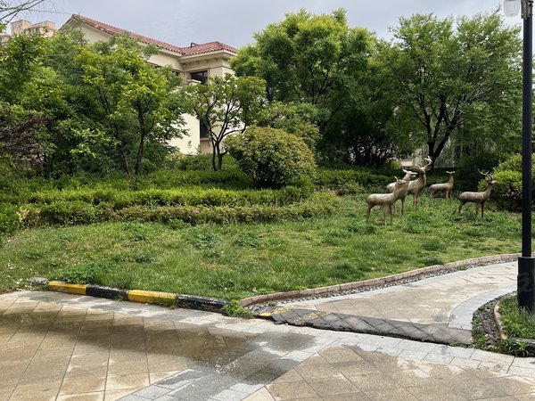 青岛城阳夏庄佳兆业水岸新都(别墅)联排别墅出租 夏庄领导自住专用房