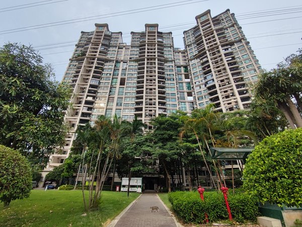 广州白云南湖南湖半山东苑半山东苑 高层山景三房 可拎包入住出租房源