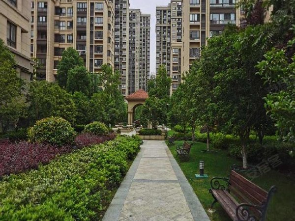 【多图】金辉尊域,斜塘租房,实拍 联丰广场欧尚旁 金辉尊域泊云庭 整