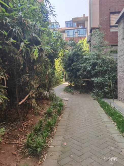 秀水苑下叠别墅一二楼花园地下室车位