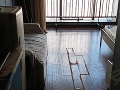 武汉沌口开发区体育中心经开万达SOHO公寓 1室1厅1卫出租房源真实图片