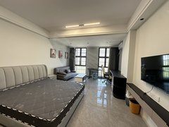 蚌埠蚌山新城区佳源公寓.精装大1室,家电齐全随时看房出租房源真实图片