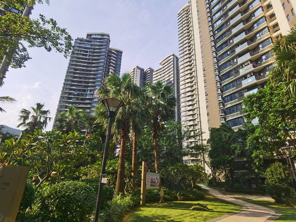 珠海横琴湾仔华发峰景湾湾仔口岸   精装三房  东南向  月租3900出租