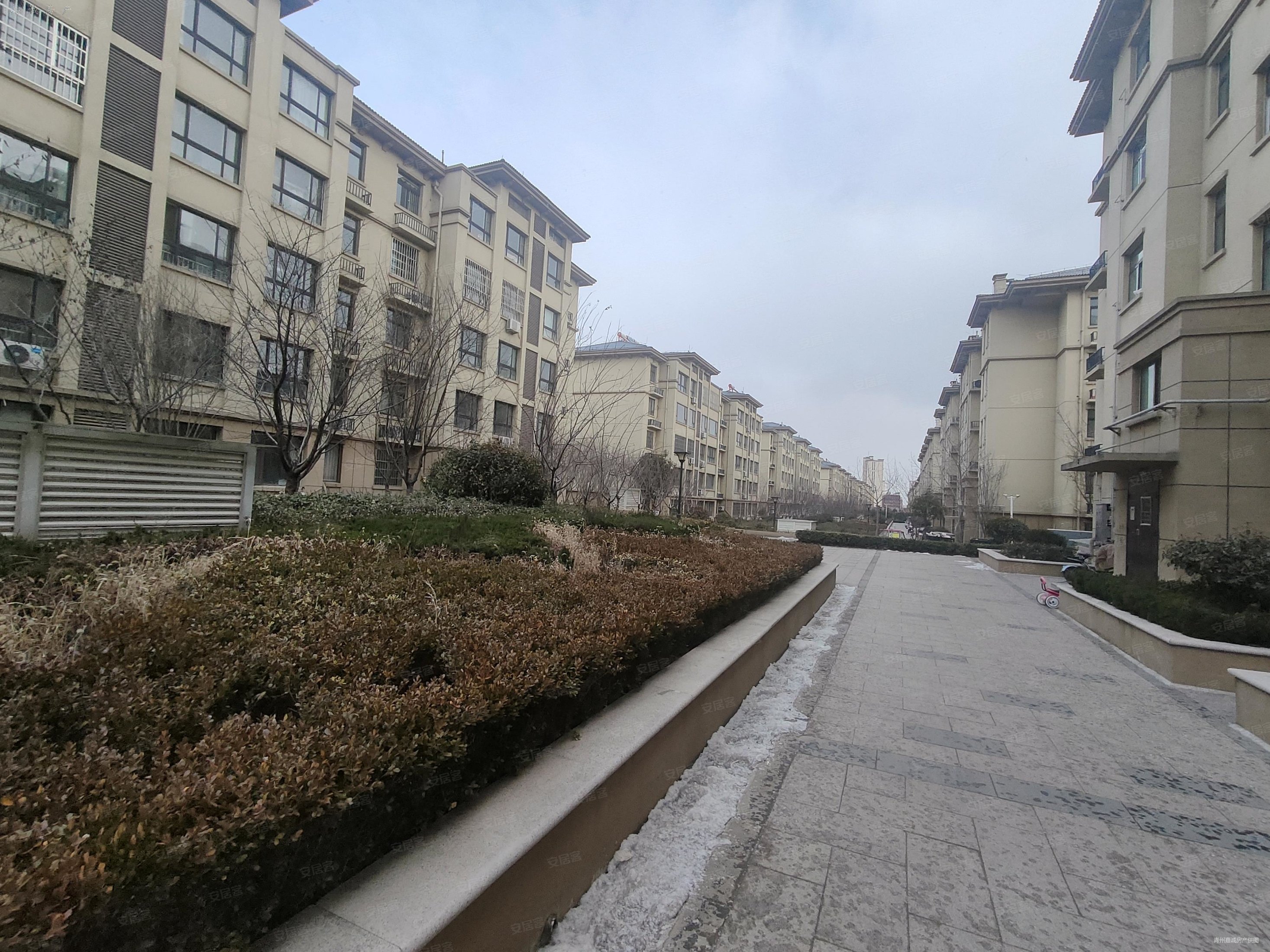 青州诺贝尔城3室2厅1卫120㎡南北85万