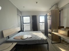 常熟东南开发区东南开发区中心天禧 1室1厅1卫  电梯房 精装修50平米出租房源真实图片