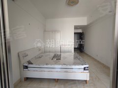 淮南田家庵万达广场万达广场 1室1厅1卫 电梯房 南北通透 精装修出租房源真实图片