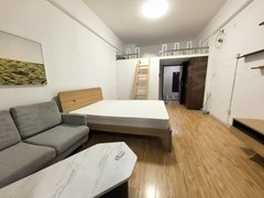 深圳宝安新安西城品阁 12号线上川站 精装修一房 图片实拍 价格真实出租房源真实图片
