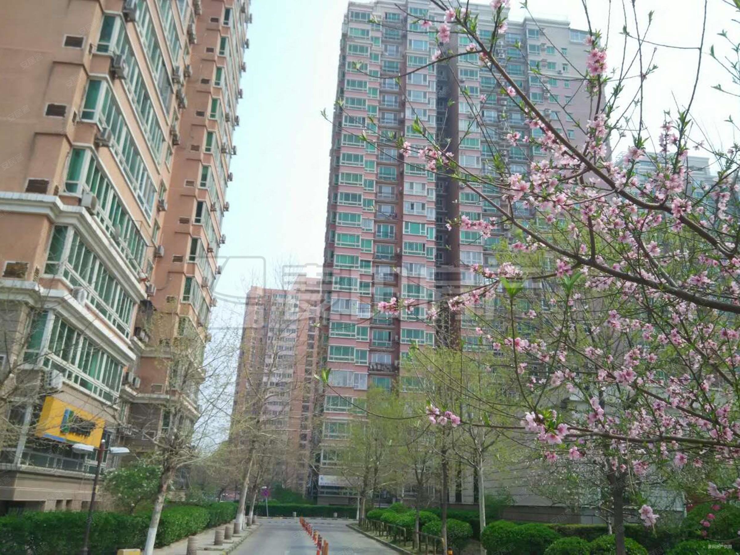 方舟苑2室2厅1卫93㎡东北715万