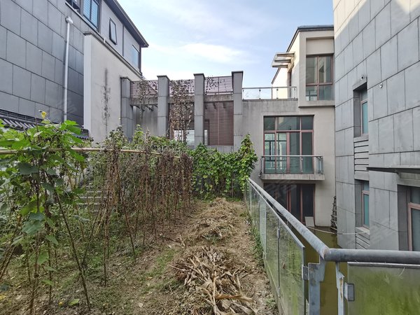 昆山花桥香榭丽大道绿地21城e区(别墅)绿地e区 独栋别墅 产证面积302