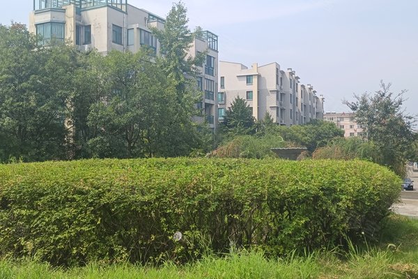 嘉兴小区 桐乡小区 桐乡小区 桂花城 桂花城怎么样