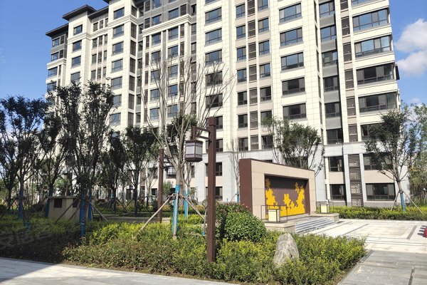 东营小区 广饶小区 城区小区 梧桐印象 0人觉得很赞2021年10月07日