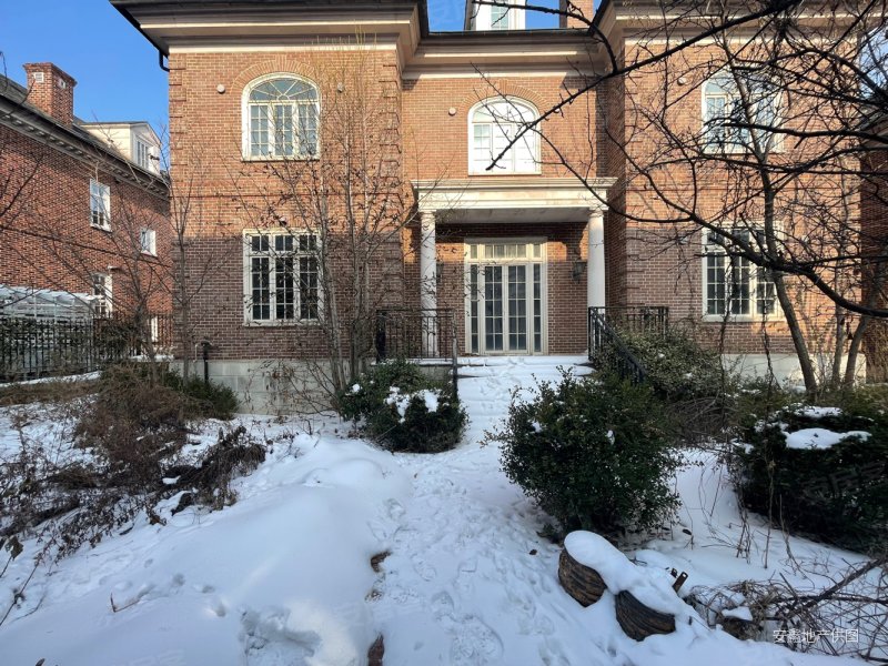 南山19108室4厅8卫464.61㎡南北1800万