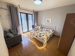 合肥政务十五里河原户型独卫独立阳台 租房送搬家 万象城 新地中心 百利中心出租房源真实图片