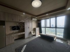 长兴雉城街道九汇城利时公寓电梯房精装修一室一厅一厨一卫出租房源真实图片