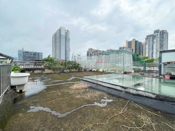 深圳龙岗龙岗中心城中央悦城洋房上下五层复式 带100花天台花园 可