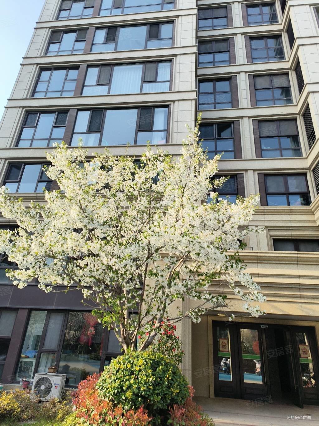 徐州房产网>徐州二手房>睢宁二手房>睢宁城区二手房>蓝城东方兰园>